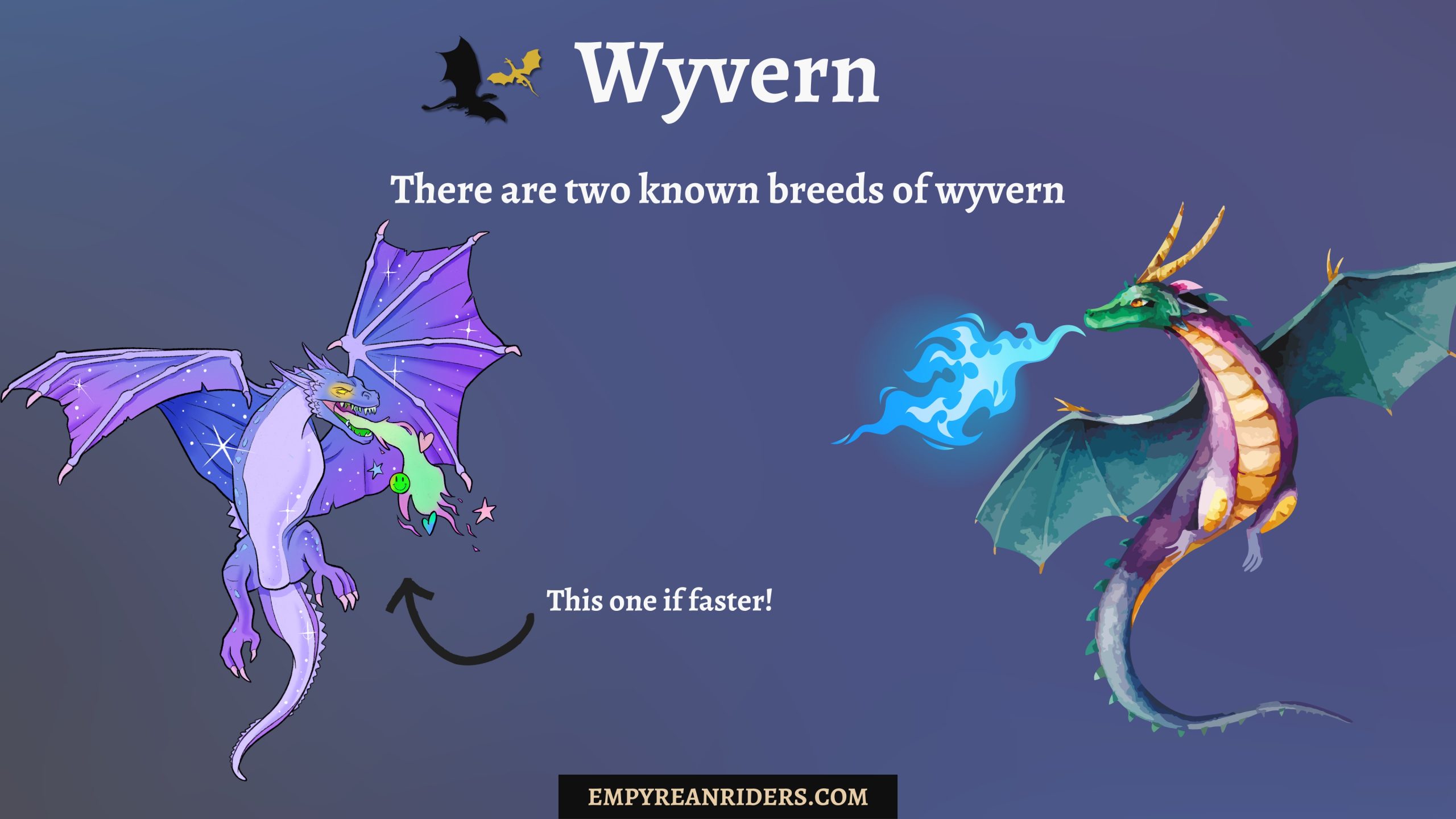 Wyvern